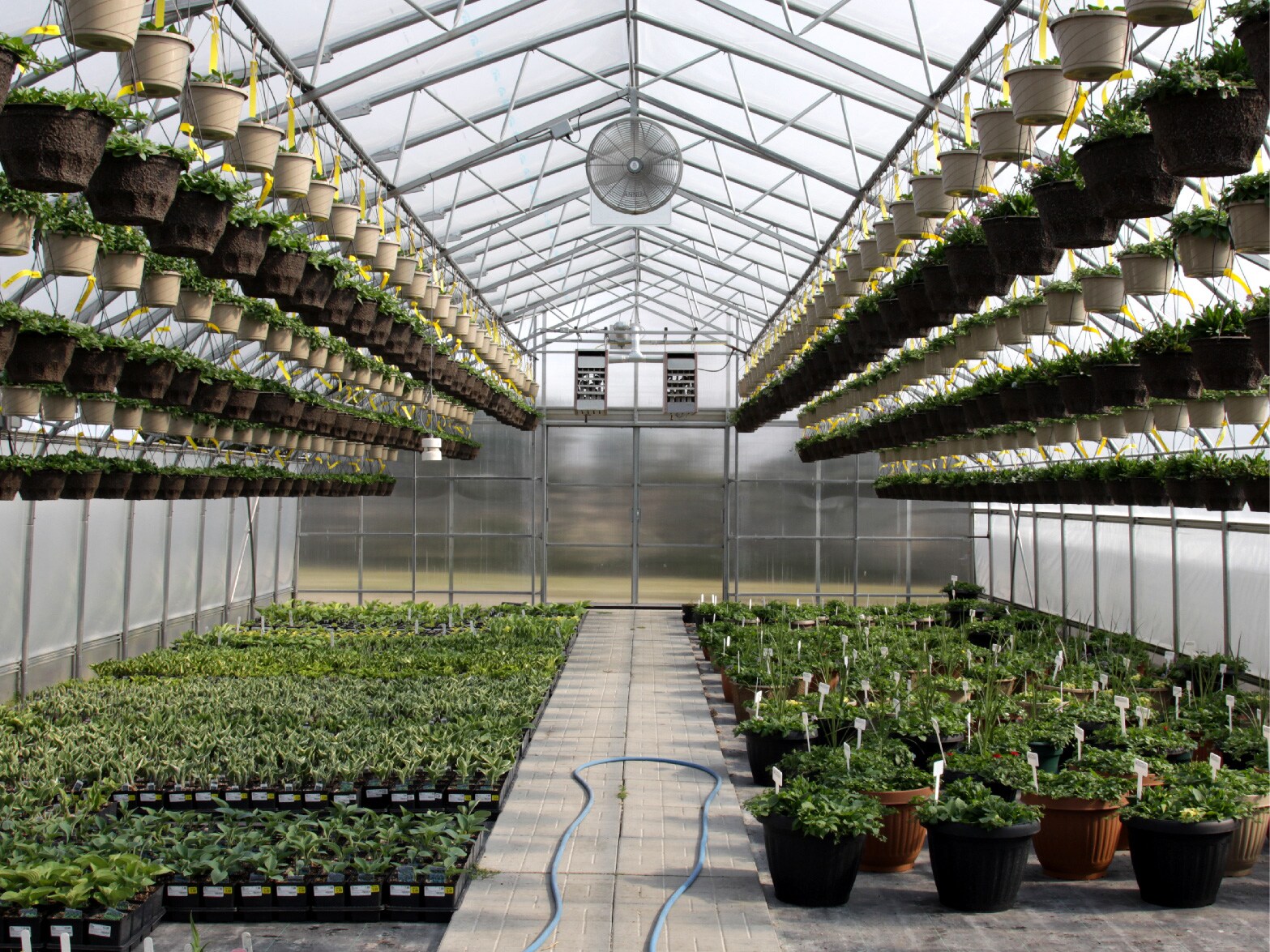 Modular Electronic Controls Thumbnail